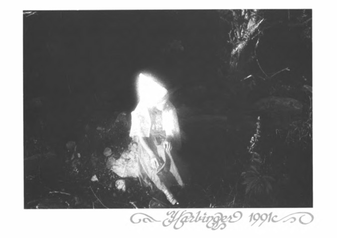 Harbinger-1991.pdf